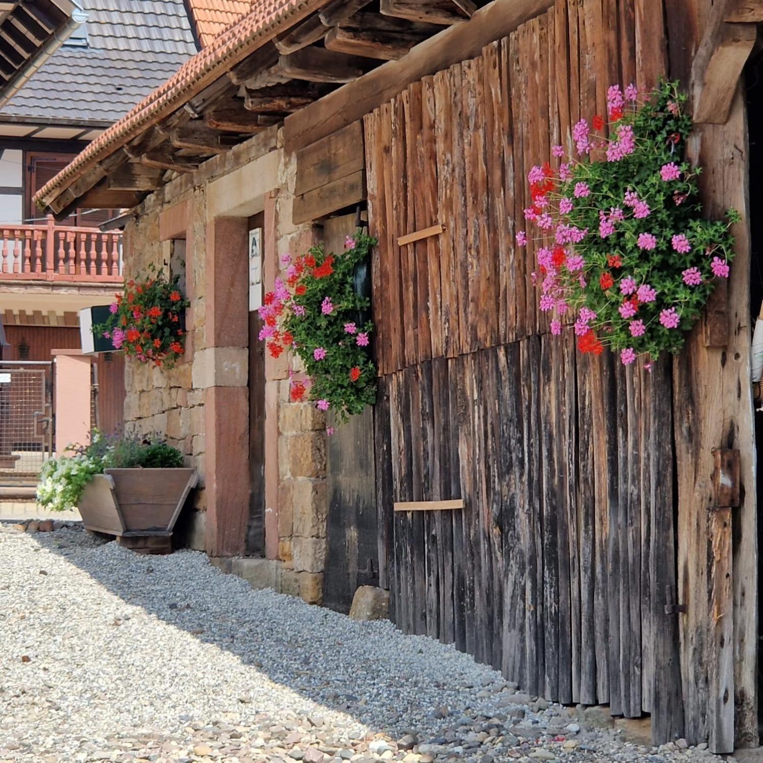 Chambres D'Hotes Chez Linda Stephane Le Passe Compose Preuschdorf المظهر الخارجي الصورة